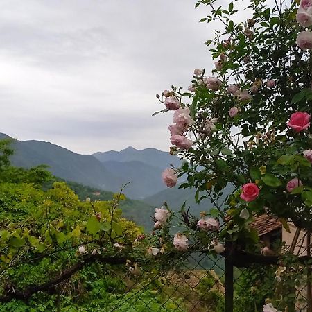 L'Ibrus Blue Bed & Breakfast Belvedere  ภายนอก รูปภาพ